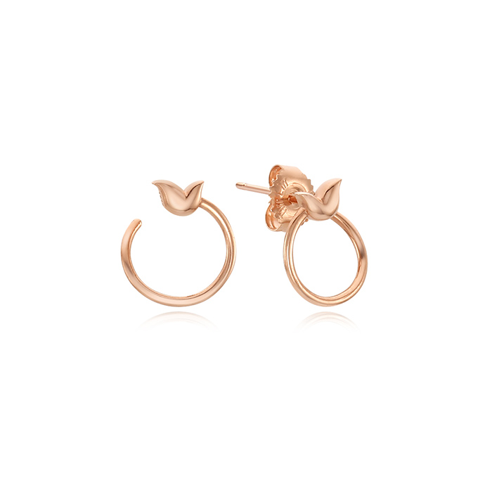 ��ǰ�̹���